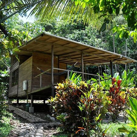 Huella Verde Rainforest Lodge Canelos Екстериор снимка