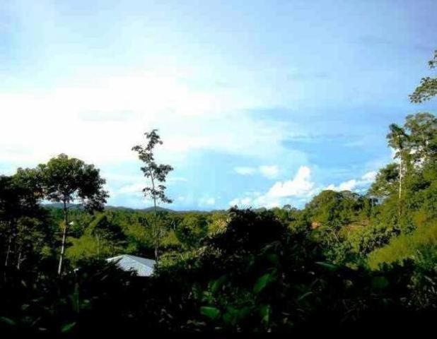 Huella Verde Rainforest Lodge Canelos Екстериор снимка