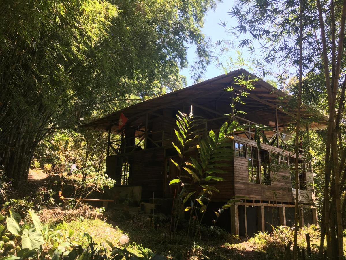 Huella Verde Rainforest Lodge Canelos Екстериор снимка